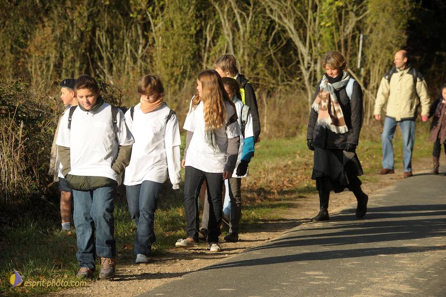 Nom de l'image : D30082938_1_(c)Norbert-JUNG — Description :